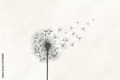 Illustration of dandelion vanishing in the air with the wind, surreal concept symbol photo