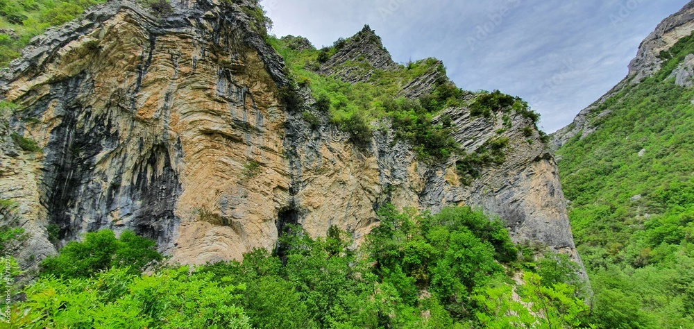 rock wall with trees growing on the steep slopes of the mountain located in a park which is home to a large forest