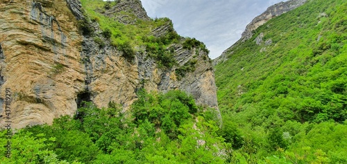 rock wall with trees growing on the steep slopes of the mountain located in a park which is home to a large forest