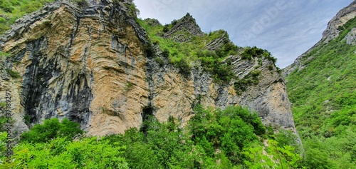rock wall with trees growing on the steep slopes of the mountain located in a park which is home to a large forest