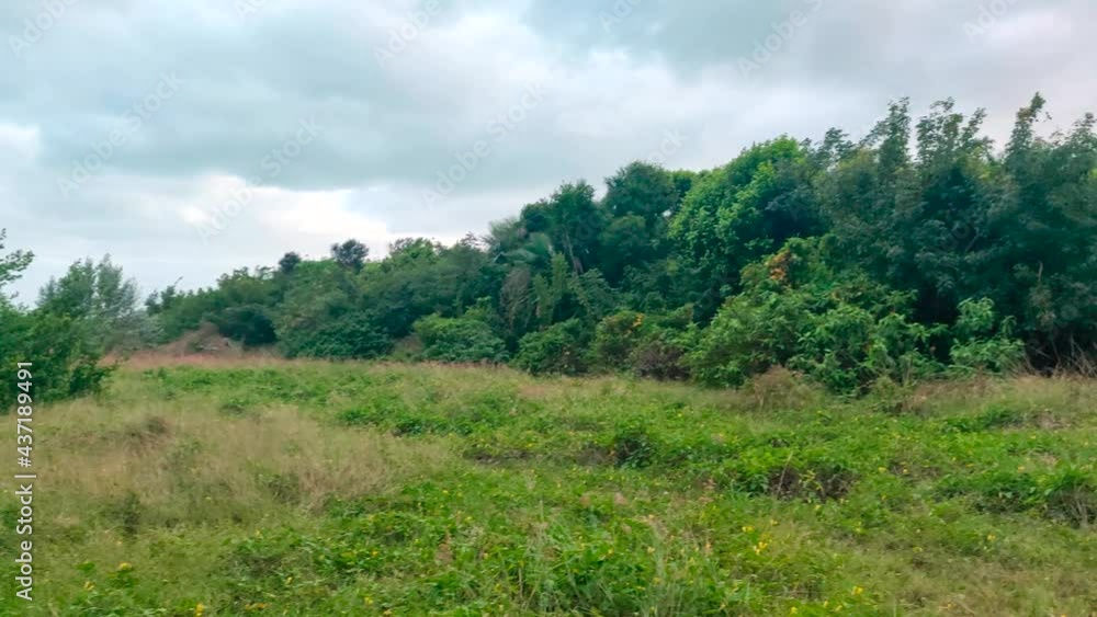Sign of a beach called Las Gaviotas in Cuba. The trail is surrounded by plants and trees. Sign of a beach called Las Gaviotas in Cuba. The trail is surrounded by plants and trees.