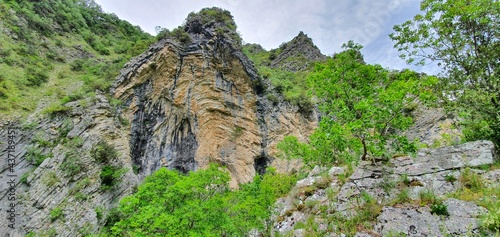 rock wall with trees growing on the steep slopes of the mountain located in a park which is home to a large forest