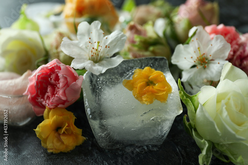 Flowers and ice cubes on black smokey background