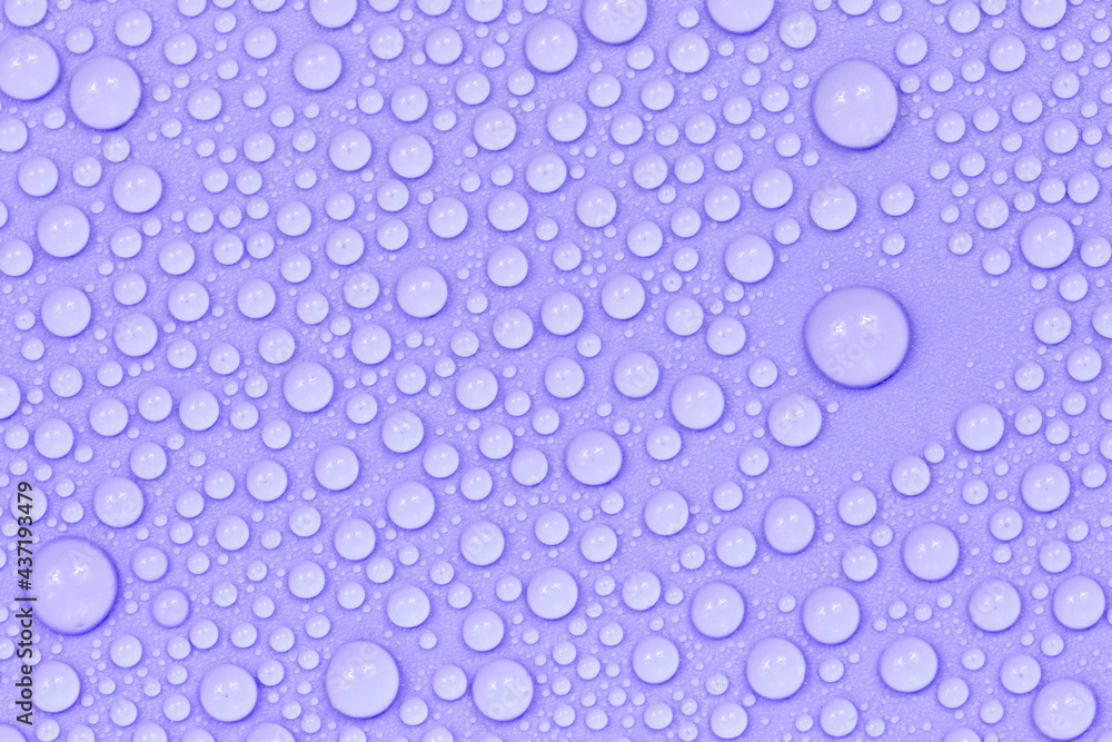 Water drops on purple background texture. Backdrop glass covered with drops of water. violet bubbles in water Water drops on purple background texture. Backdrop glass covered with drops of water. violet bubbles in water