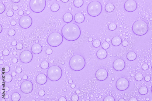 Water drops on purple background texture. Backdrop glass covered with drops of water. violet bubbles in water
