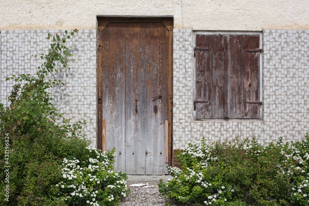 Vintage and rural garden design:Blooming flowers, foliage and graminaceous plants in a front yard of an old rural house with tiled walls and a wooden weathered door and window with shutters,  close up