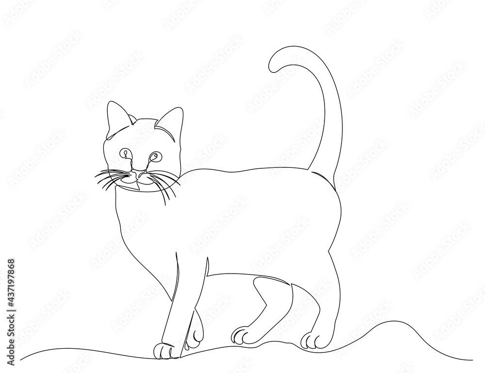 cat one line drawing isolated, vector cat one line drawing isolated, vector