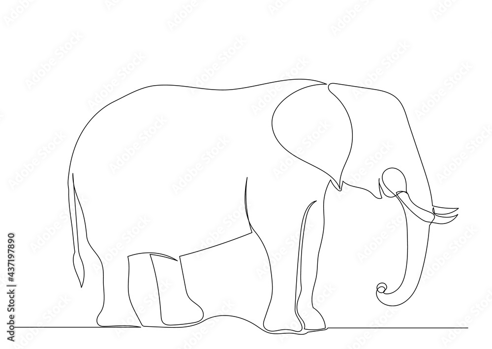 elephant one line drawing isolated