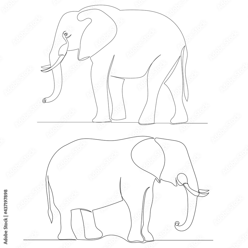 elephant one line drawing isolated, vector