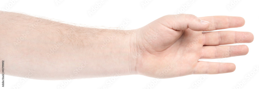 Male caucasian hands isolated white background showing gesture holds something or takes, gives. man hands showing different gestures Male caucasian hands isolated white background showing gesture holds something or takes, gives. man hands showing different gestures