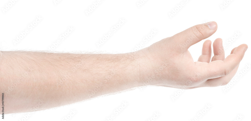 Male caucasian hands isolated white background showing gesture holds something or takes, gives. man hands showing different gestures Male caucasian hands isolated white background showing gesture holds something or takes, gives. man hands showing different gestures