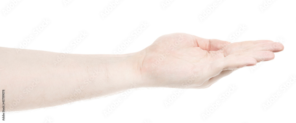 Male caucasian hands isolated white background showing gesture holds something or takes, gives. man hands showing different gestures Male caucasian hands isolated white background showing gesture holds something or takes, gives. man hands showing different gestures
