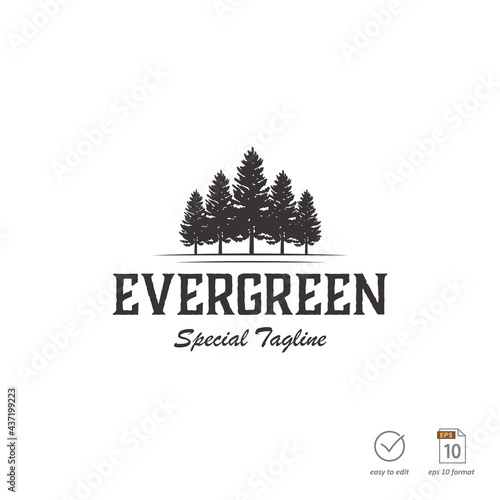 Vintage pine design concept for outdoor logo