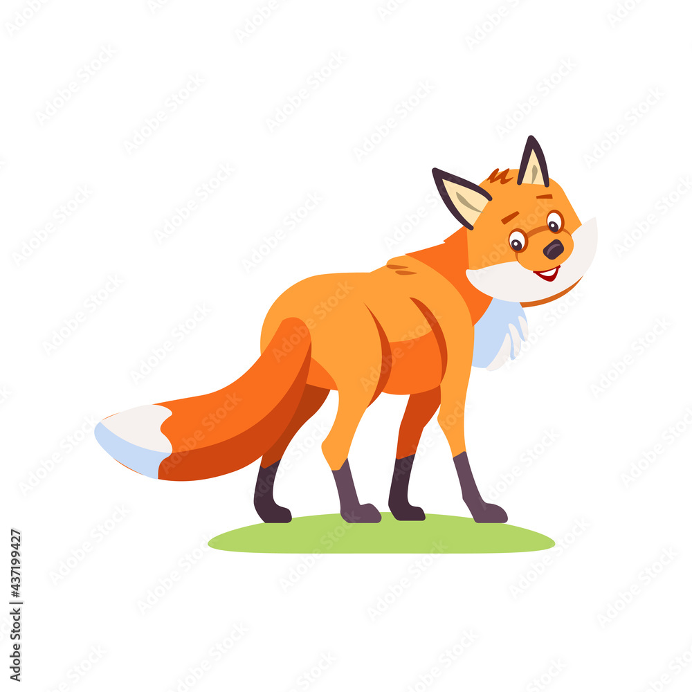 Fox cartoon. Cute Fox turns to the viewer and looks friendly. Vector illustration isolated on white background