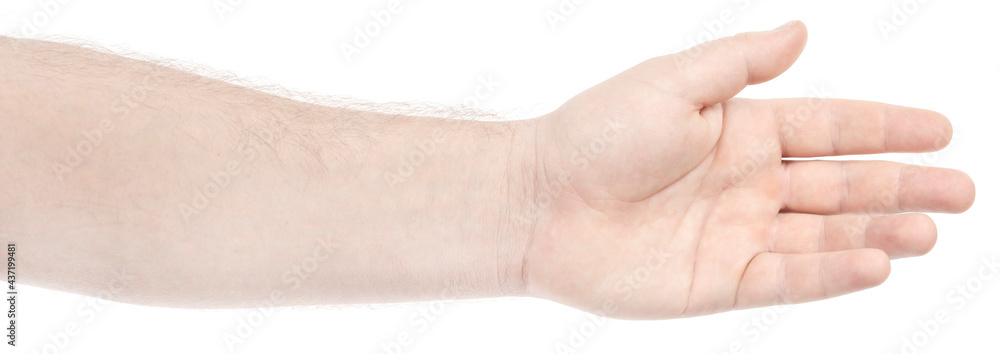 Male caucasian hands  isolated white background showing  various finger gestures. man hands showing different gestures