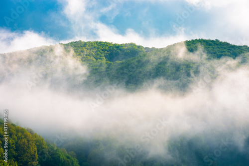 mountain landscape on a misty morning. beautiful nature background in summer. scenic outdoor scenery with clouds. magic weather season
