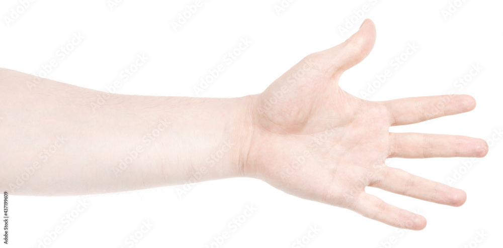 Male caucasian hands isolated white background showing various finger gestures. man hands showing different gestures Male caucasian hands isolated white background showing various finger gestures. man hands showing different gestures