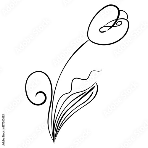 Graphic drawing of a tulip for logo, advertising.