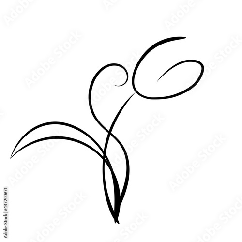 Graphic drawing of a tulip for logo, advertising.