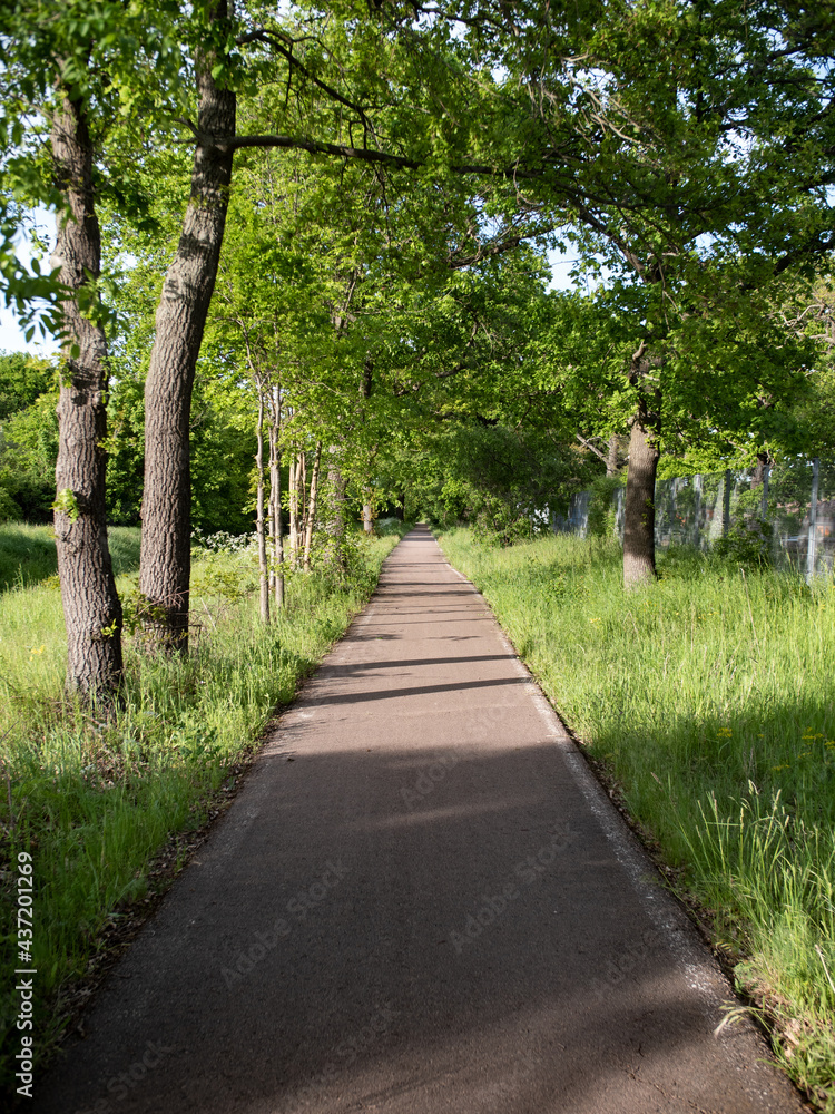A long straight concrete path between trees and bushes. Blue sky with less clouds. A long straight concrete path between trees and bushes. Blue sky with less clouds.