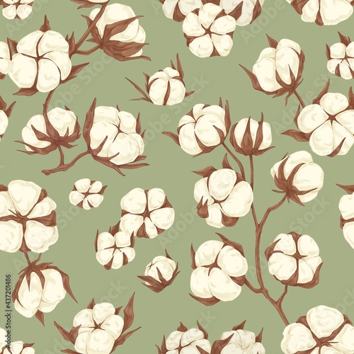 Seamless repeating botanical pattern with soft cotton flower branches. Endless floral background for printing and decoration. Hand-drawn graphic vector illustration for wrapping in vintage style