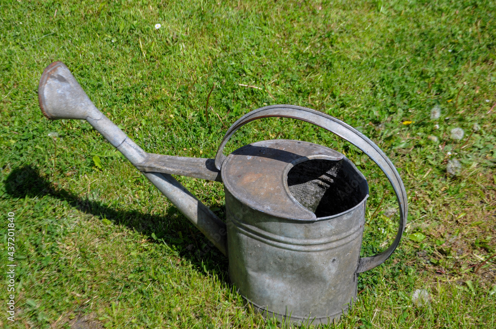 Metal old-fashioned watering can on the green grass in the garden Metal old-fashioned watering can on the green grass in the garden