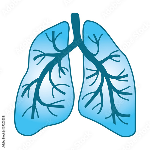 Human lungs. Vector illustration III.