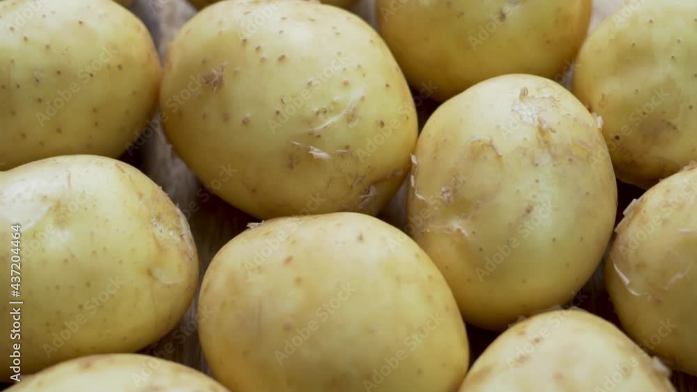 Fresh Crop Of Tubers Of Young Excavated Potatoes, Macro, Rotation. Isolated Background of Young Potato Tubers. Healthy Vegan Food. Fresh Crop Of Tubers Of Young Excavated Potatoes, Macro, Rotation. Isolated Background of Young Potato Tubers. Healthy Vegan Food.