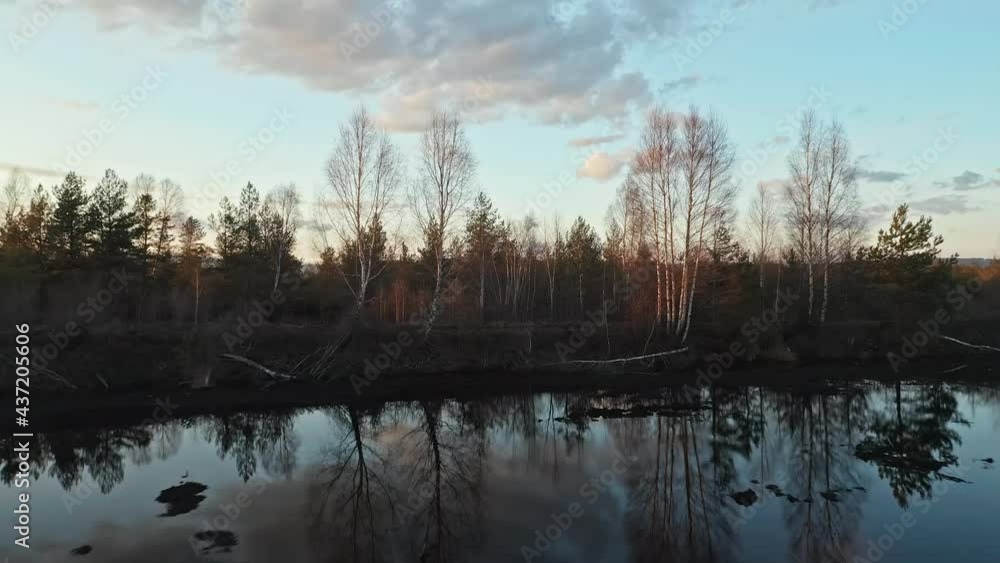 Picturesque View Of The Forest And Marshes Of A Peat Bog In Sunset - Picturesque View Of The Forest And Marshes Of A Peat Bog In Sunset -