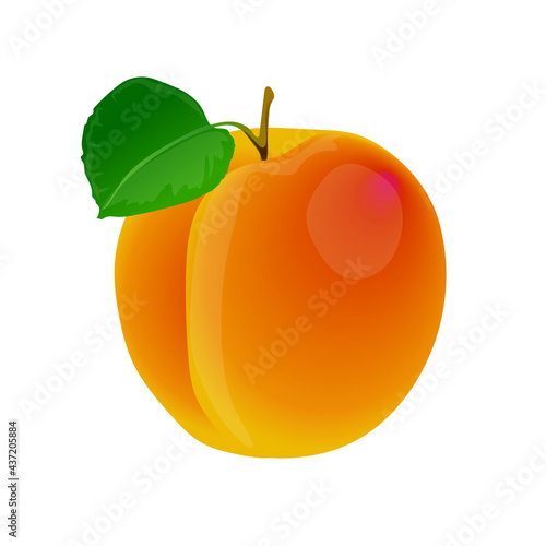 Abricot