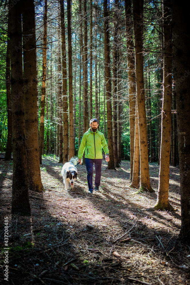 Fototapeta premium man with dog walking in forest