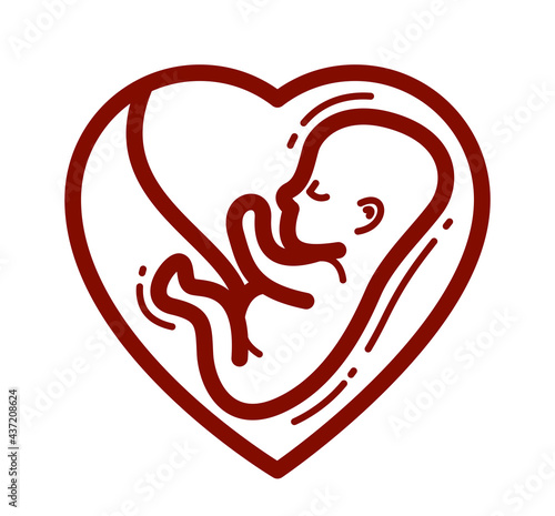 Human fetus embryo womb unborn child vector linear icon isolated on white background.