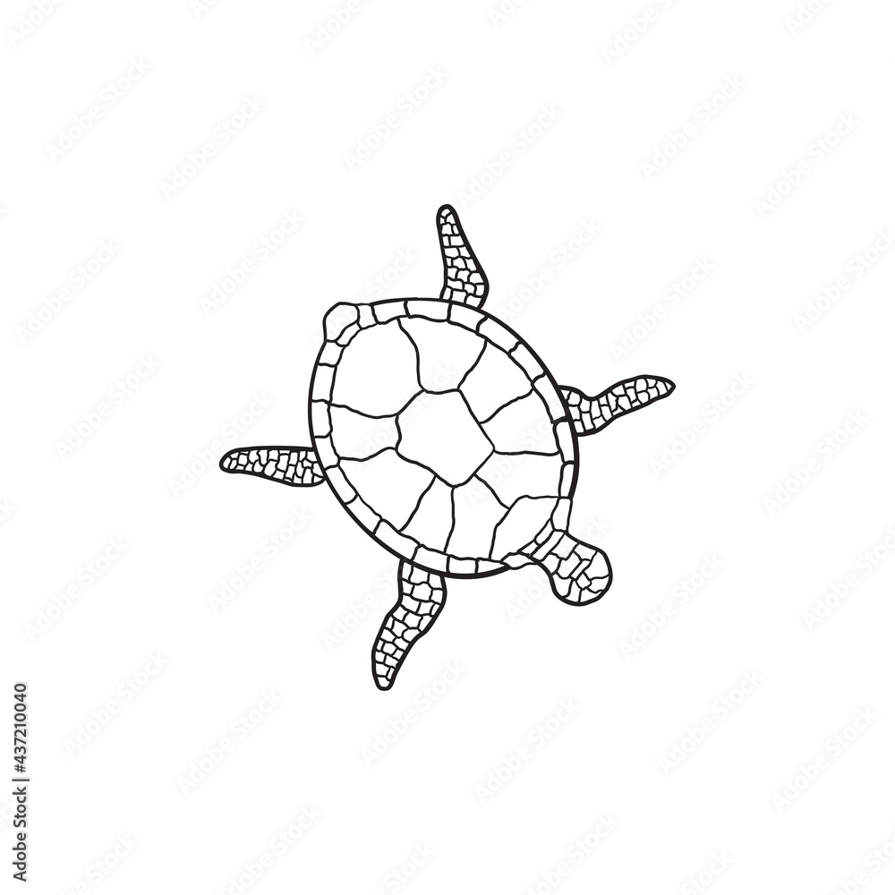 Obraz premium turtle line art, icon logo turtle isolated on white background
