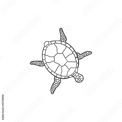 turtle line art, icon logo turtle isolated on white background