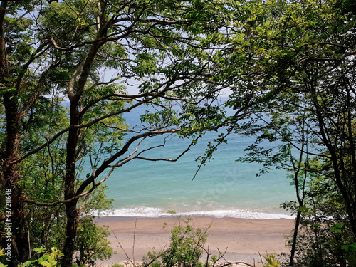 Billede på lærred Beach and the sea seen through trees