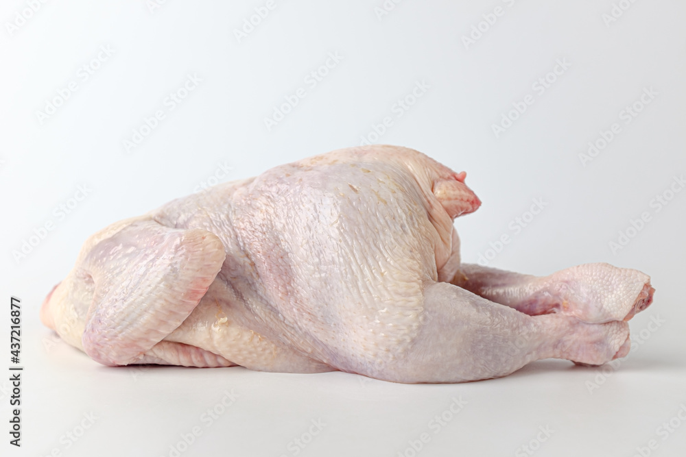 raw chicken on a white background raw chicken on a white background