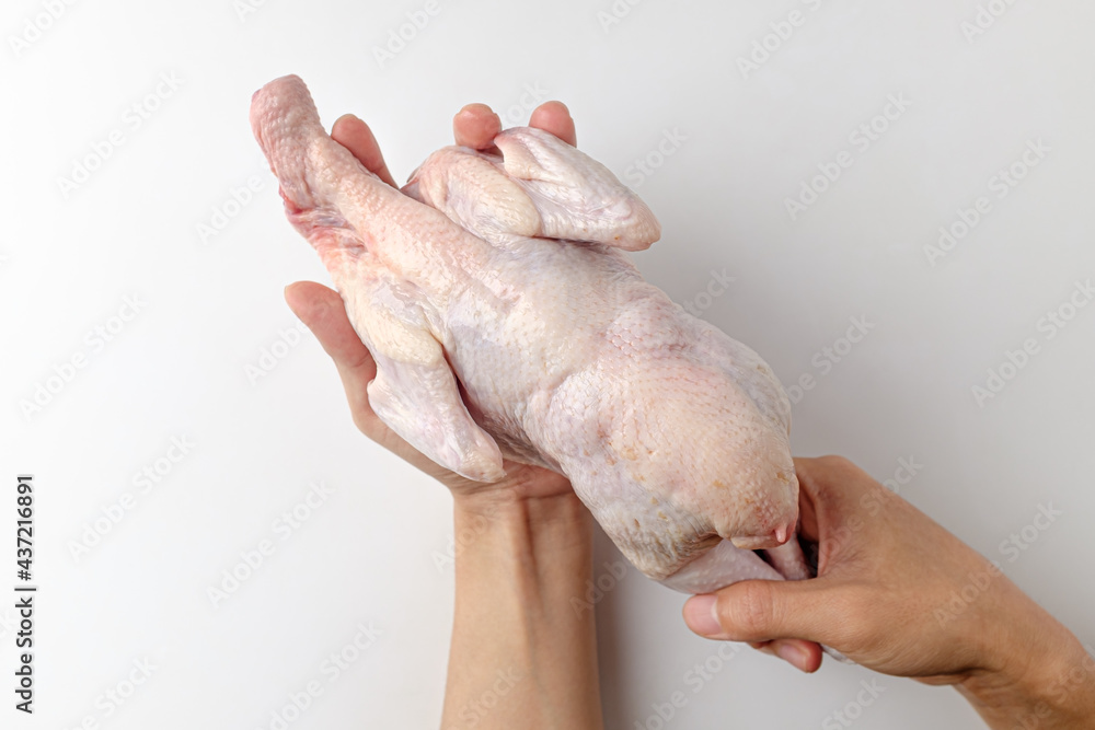 Fototapeta premium raw chicken on a white background