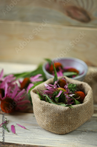 Echinacea flowers and leaves. Healing summer herbs.
