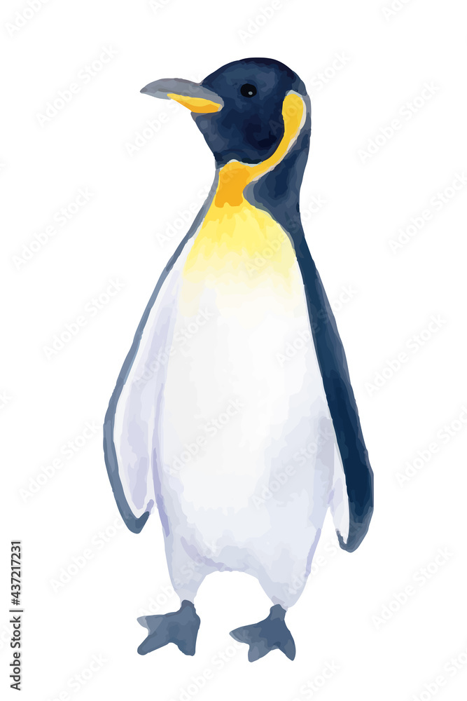 Fototapeta premium 皇帝ペンギンの水彩イラスト
