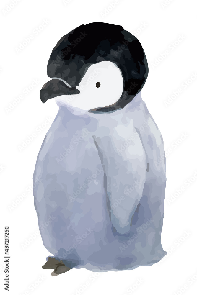 皇帝ペンギンのこども 水彩イラスト Stock Vector Adobe Stock