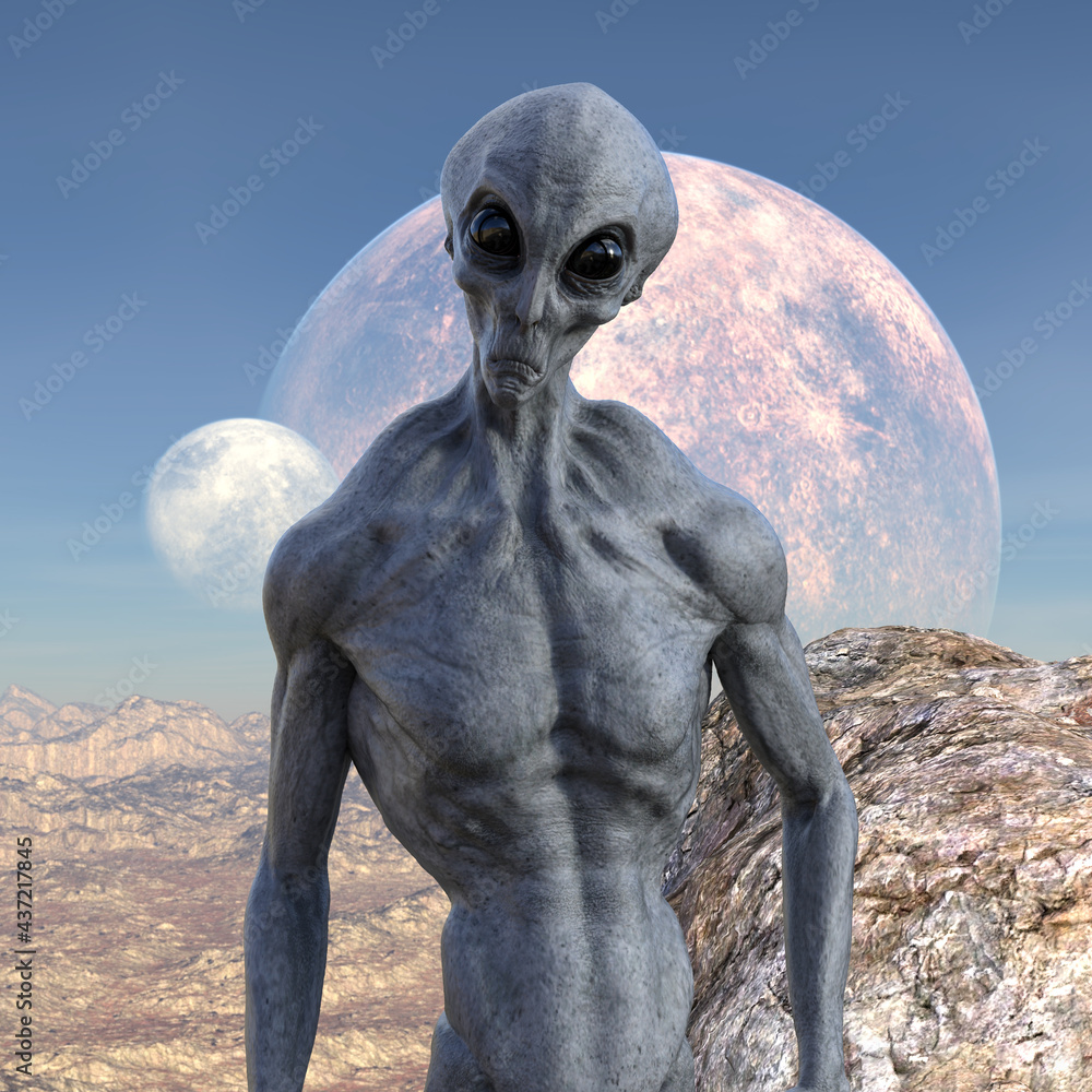 Illustrazione Stock Illustration of the upper body of a grey alien standing  on a barren world with two moons rising in the background. | Adobe Stock