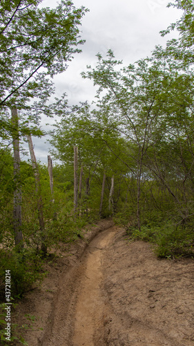 landscape