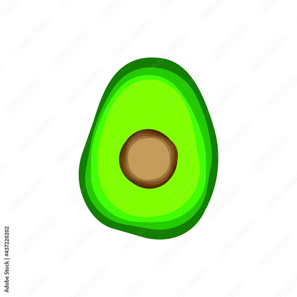 Avocado vector illustration isolated on white Avocado vector illustration isolated on white