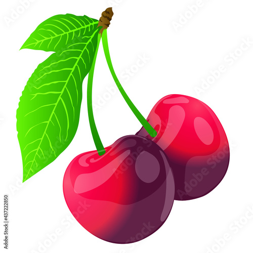 Cerise