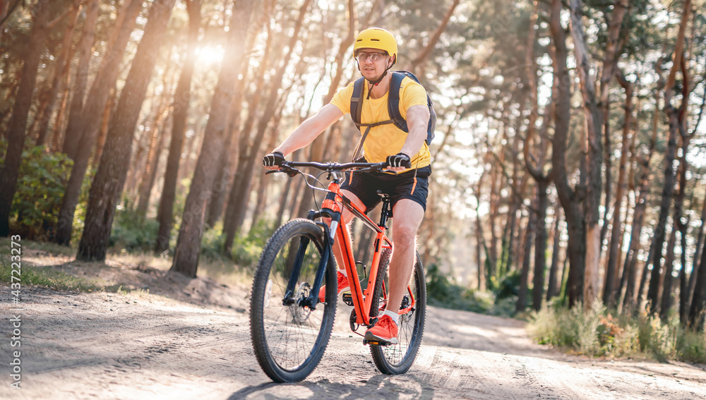 Bicyclist riding bicycle along ground road in sunny forest