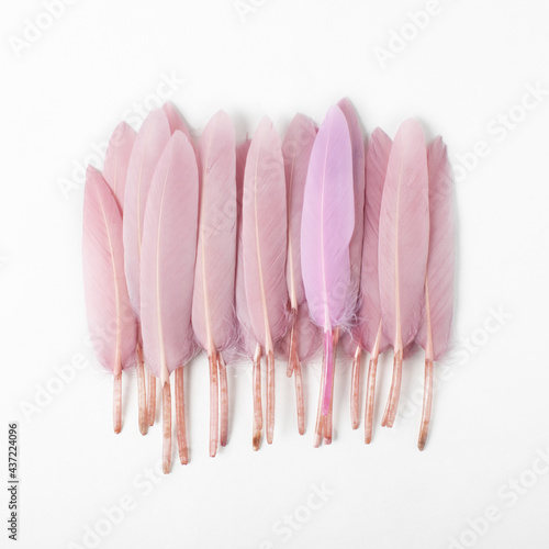 Pink feathers on a white background © Екатерина Кравченко
