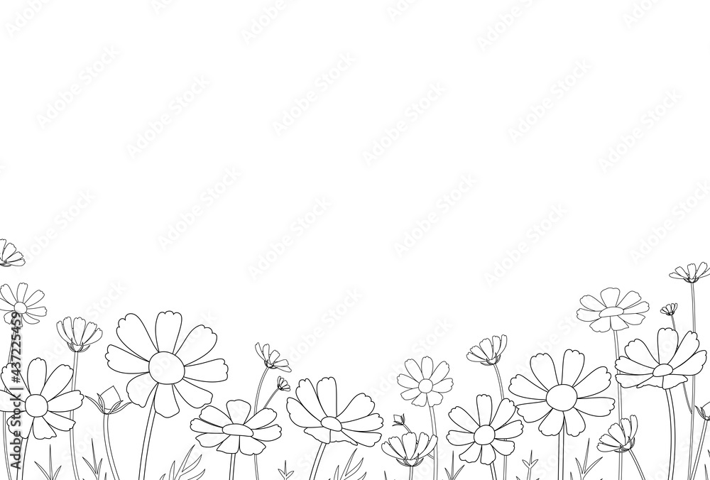 コスモスがたくさん咲いている風景の線画ベクターイラスト　横型