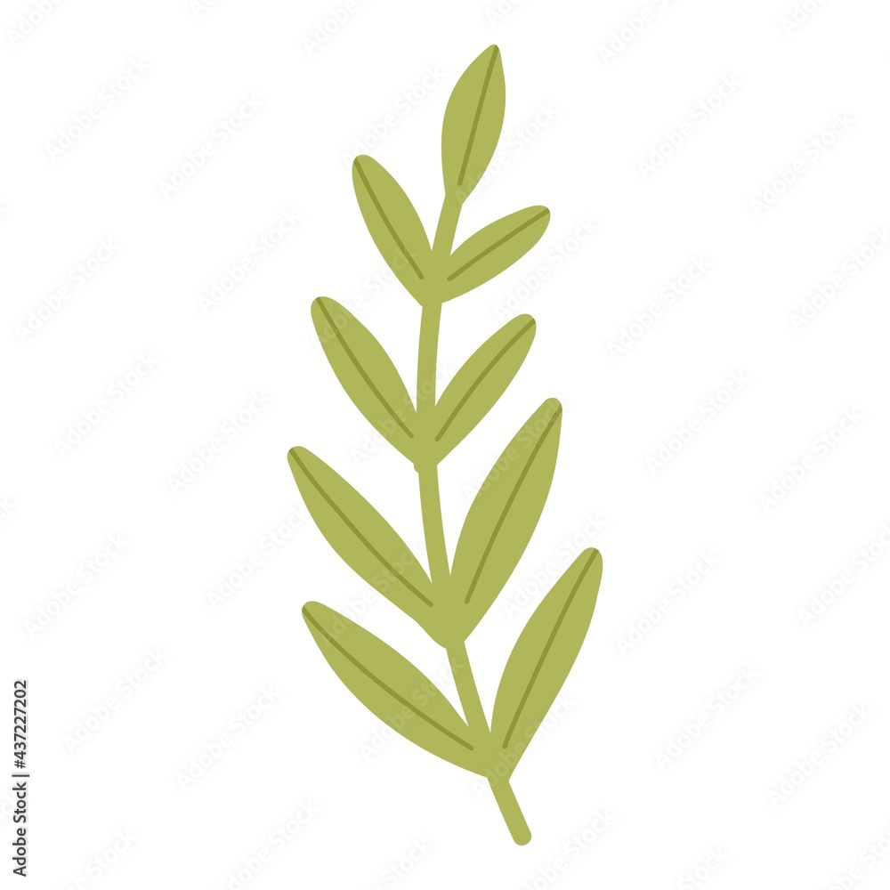 Hand drawn vector leaves summer branch. White background. Isolated. Colorful green engraving technique. Hand drawn vector leaves summer branch. White background. Isolated. Colorful green engraving technique.