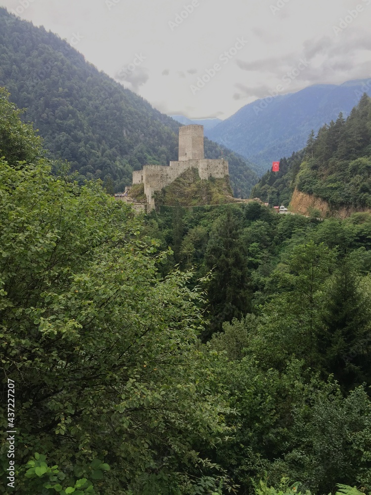 Fototapeta premium fort in the forest