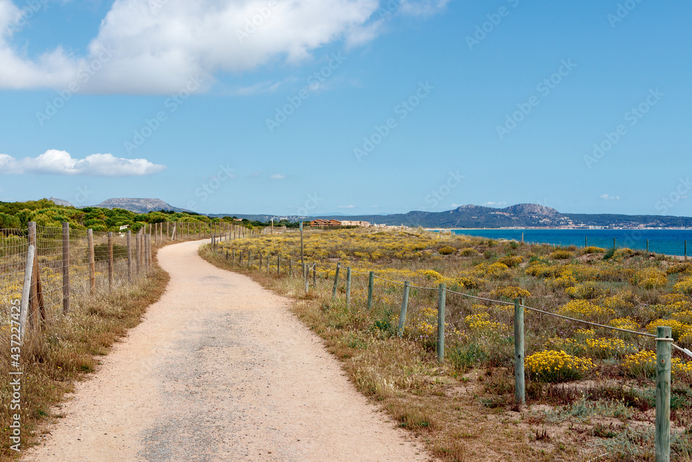 dirt road in the province of girona